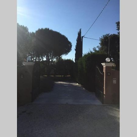 Gite 2 Pieces Au Calme Les Arcs-sur-Argens Экстерьер фото